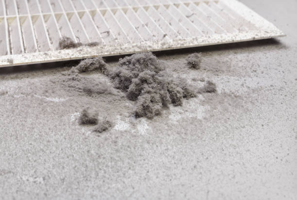 Best Professional Duct Cleaning Services  in Mabscott, WV